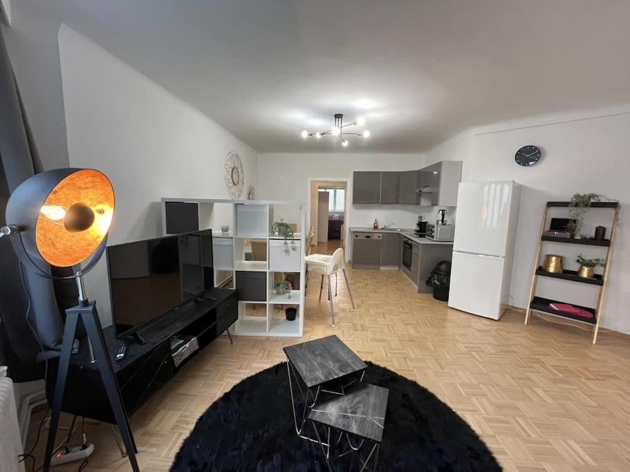 *Luxurious And Spacious Family Apartment* 维也纳 外观 照片